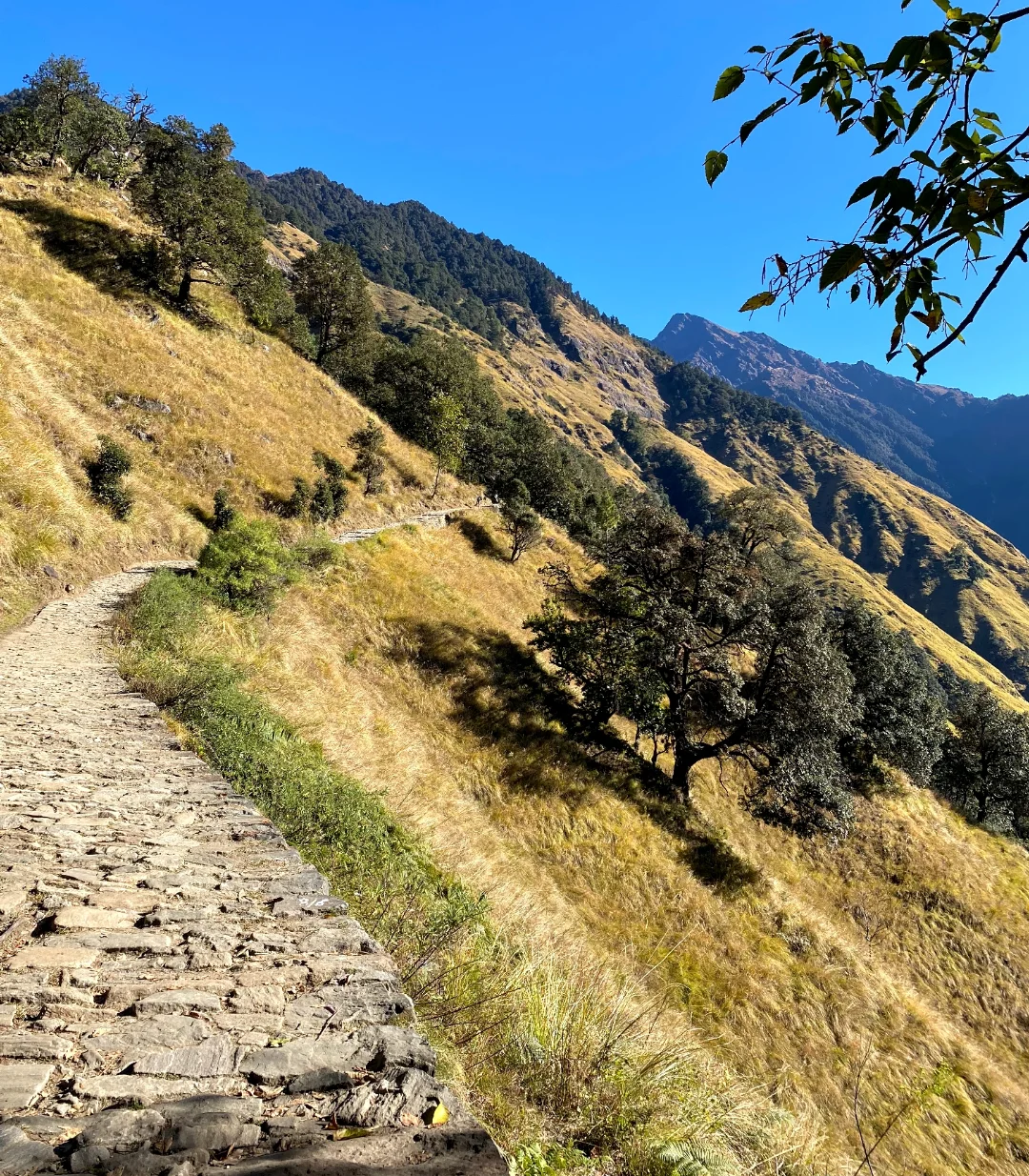 madhmaheshwar tour package